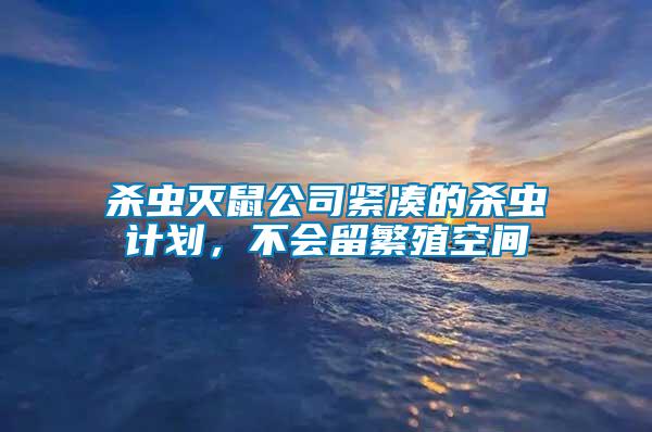 殺蟲滅鼠公司緊湊的殺蟲計劃，不會留繁殖空間
