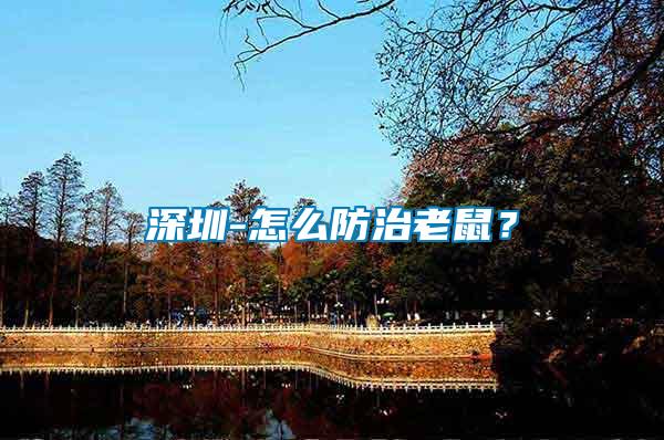 深圳-怎么防治老鼠？