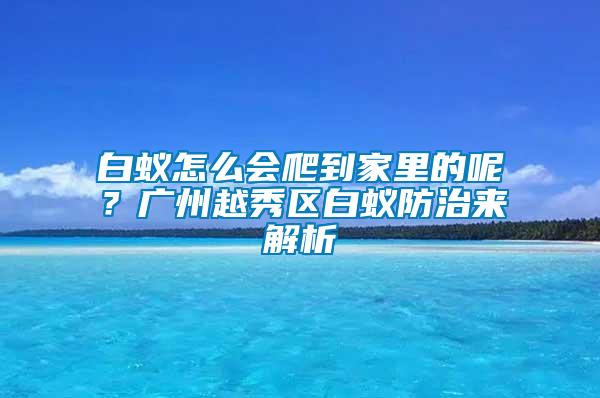 白蟻怎么會爬到家里的呢？廣州越秀區(qū)白蟻防治來解析