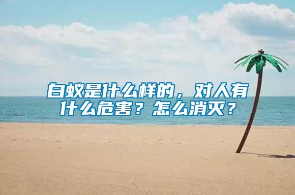 白蟻是什么樣的，對(duì)人有什么危害？怎么消滅？