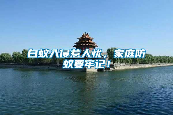 白蟻入侵惹人憂，家庭防蟻要牢記！