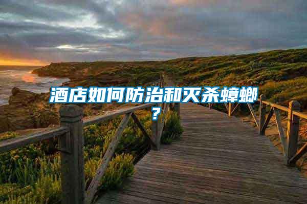 酒店如何防治和滅殺蟑螂？