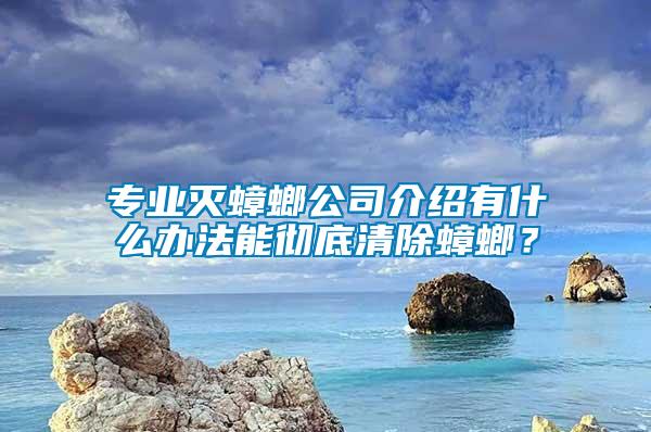 專業(yè)滅蟑螂公司介紹有什么辦法能徹底清除蟑螂？