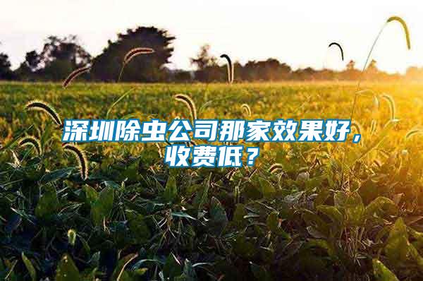 深圳除蟲公司那家效果好，收費低？