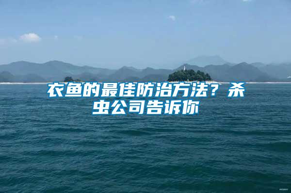衣魚的最佳防治方法？殺蟲公司告訴你