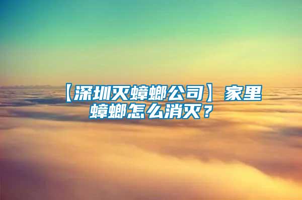 【深圳滅蟑螂公司】家里蟑螂怎么消滅？