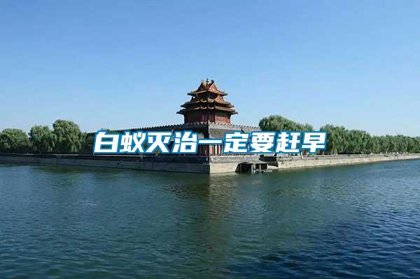 白蟻滅治一定要趕早