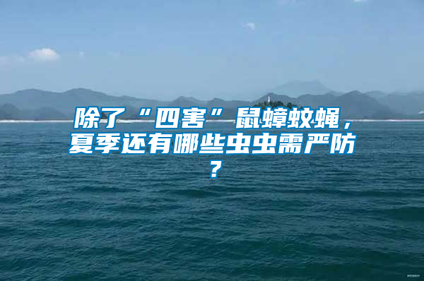 除了“四害”鼠蟑蚊蠅，夏季還有哪些蟲蟲需嚴(yán)防？