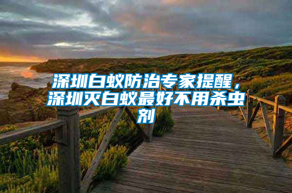 深圳白蟻防治專家提醒，深圳滅白蟻最好不用殺蟲劑