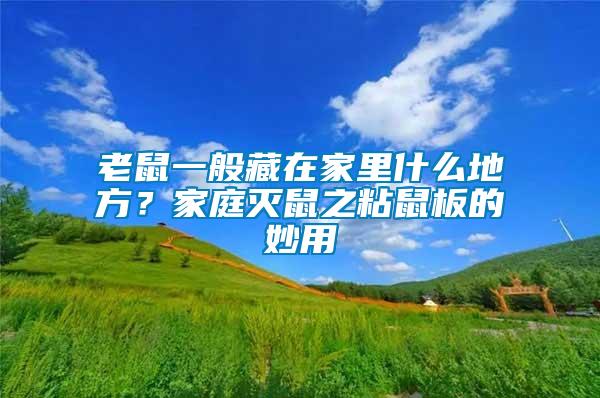 老鼠一般藏在家里什么地方？家庭滅鼠之粘鼠板的妙用