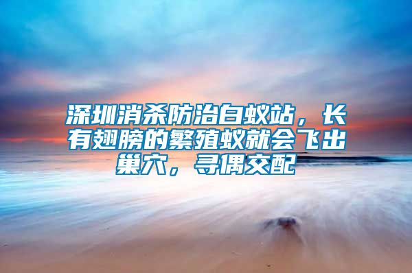 深圳消殺防治白蟻站，長有翅膀的繁殖蟻就會(huì)飛出巢穴，尋偶交配