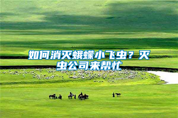 如何消滅蛾蠓小飛蟲？滅蟲公司來幫忙