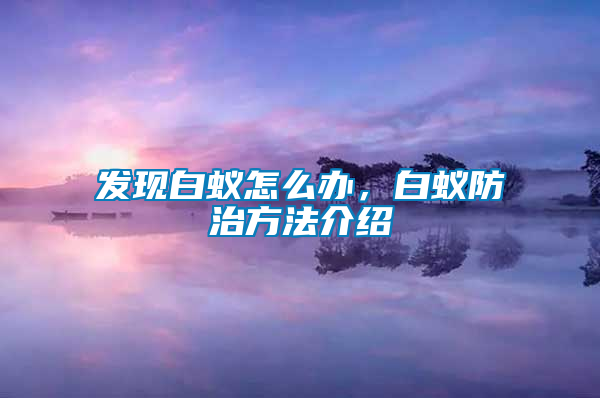 發(fā)現(xiàn)白蟻怎么辦,白蟻防治方法介紹