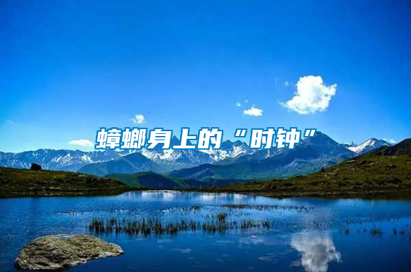 蟑螂身上的“時(shí)鐘”