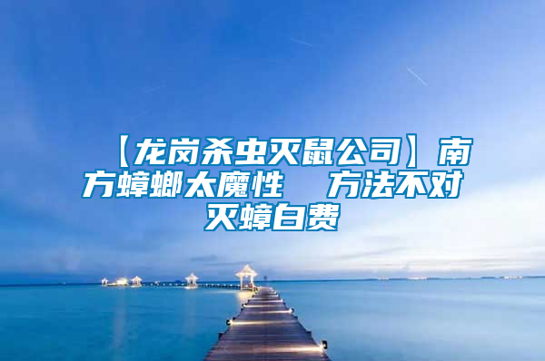 【龍崗殺蟲(chóng)滅鼠公司】南方蟑螂太魔性 方法不對(duì)滅蟑白費(fèi)