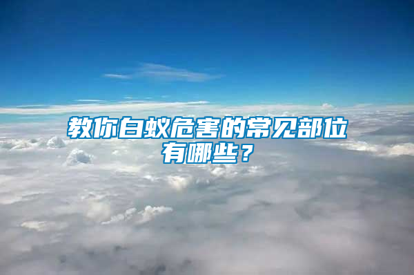 教你白蟻危害的常見部位有哪些？