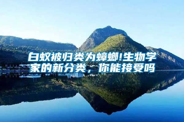 白蟻被歸類為蟑螂!生物學(xué)家的新分類，你能接受嗎