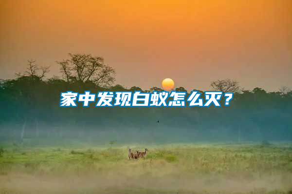 家中發(fā)現白蟻怎么滅？