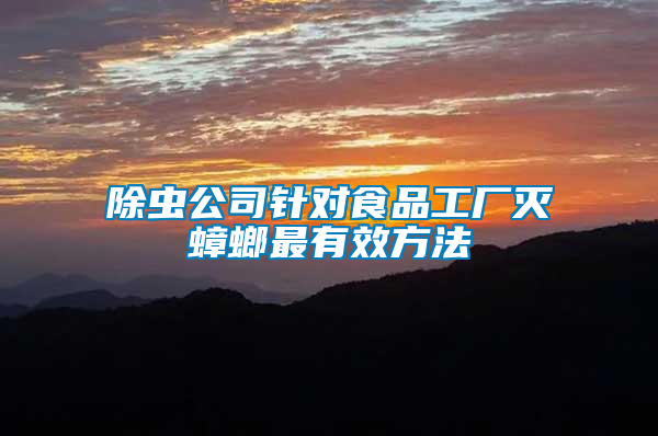 除蟲(chóng)公司針對(duì)食品工廠滅蟑螂最有效方法